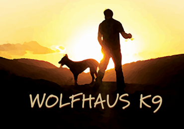 Notification of Fictitious Name Registration WolfHaus K9